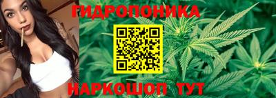 ГАЛЛЮЦИНОГЕННЫЕ ГРИБЫ Усть-Джегута