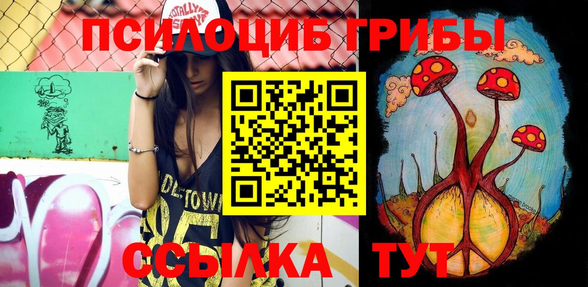 Нерюнгри  Галлюциногенные грибы Cubensis  Вход с VPN  Галлюциногенные грибы MAGIC MUSHROOMS 